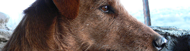 Okatore Content Image