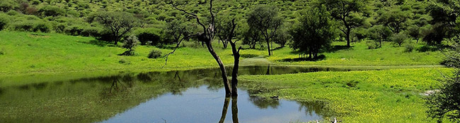 Okatore Content Image