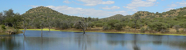 Okatore Content Image