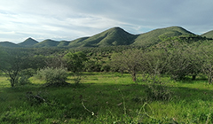 Mountains rainy season